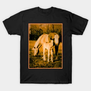 Mare and Foal T-Shirt